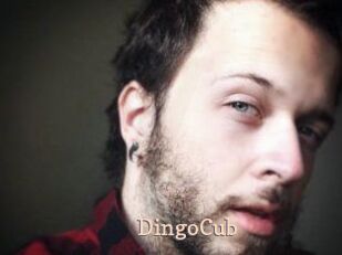 DingoCub