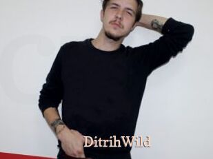 DitrihWild