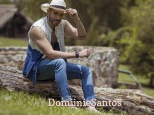 DomiinicSantos