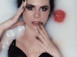 DomineerVi