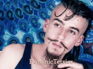 DominicTerrier