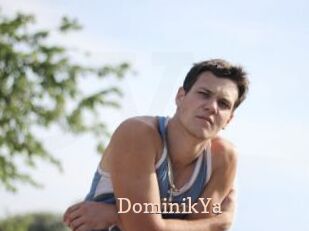 DominikYa