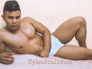 DylanStud19cm