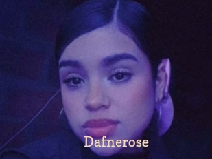 Dafnerose