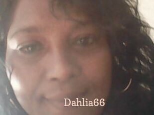Dahlia66