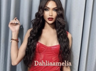 Dahliaamelia