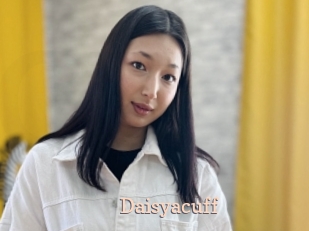 Daisyacuff