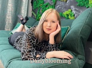 Daisyblooming