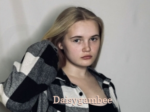 Daisygambee