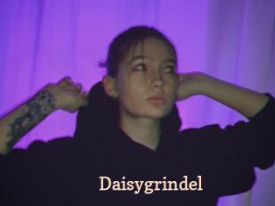 Daisygrindel