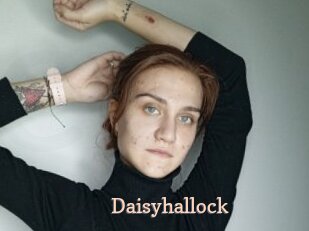 Daisyhallock