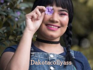 Dakotacollyass
