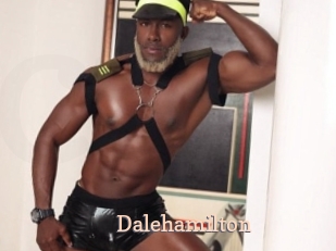 dalehamilton Chaude Vision