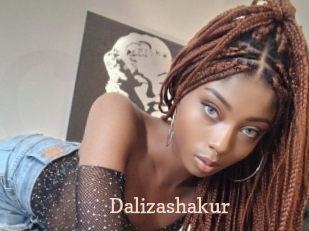 dalizashakur Chaude Vision