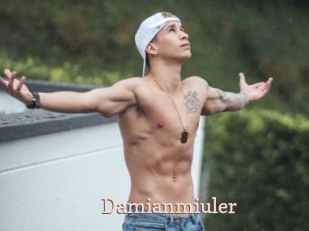 Damianmiuler