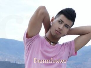 Damnfoxter