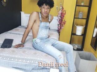 Danii_steel