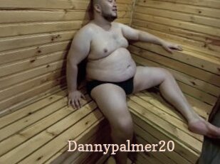 Dannypalmer20