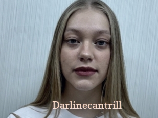 Darlinecantrill