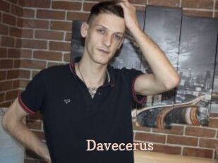 Davecerus