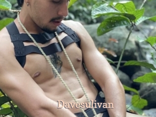 Davesulivan