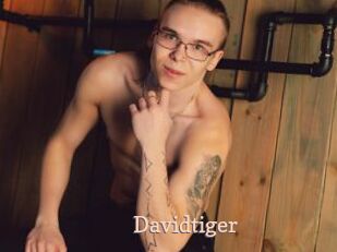 Davidtiger