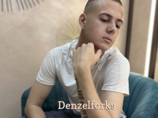 denzelforks Chaude Vision