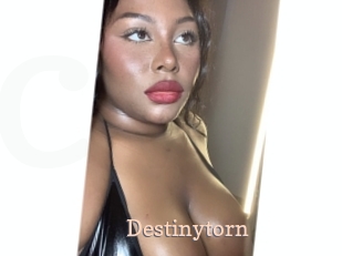 destinytorn Chaude Vision