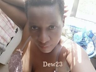 Dew23