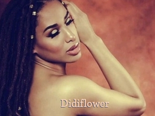 Didiflower