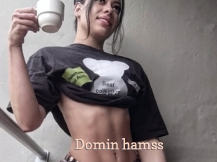 Domin_hamss