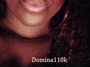 Domina110k