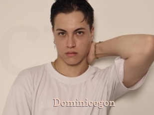 Dominicegon