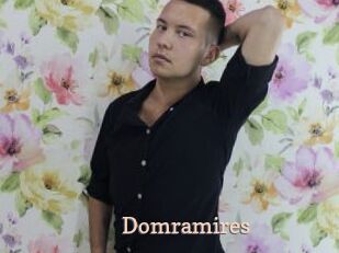 Domramires