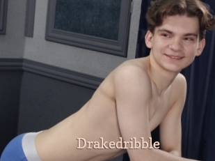 Drakedribble
