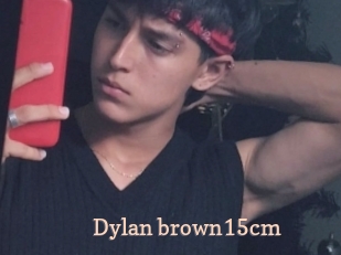 Dylan_brown15cm