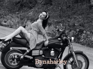 Dynaharley