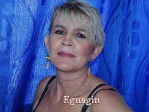 Egnagin