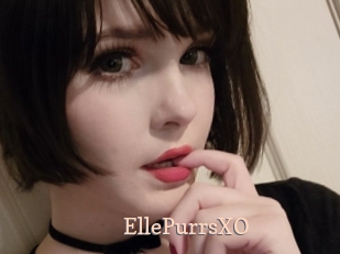 EllePurrsXO