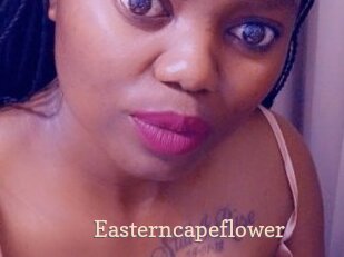 Easterncapeflower