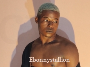 Ebonnystallion