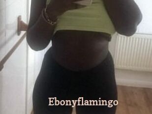 Ebony_flamingo