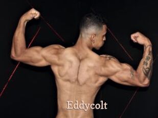 Eddycolt