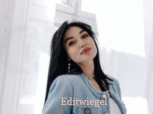 Editwiegel