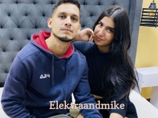 Elektraandmike