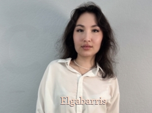 Elgabarris