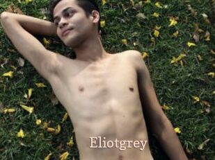 Eliotgrey