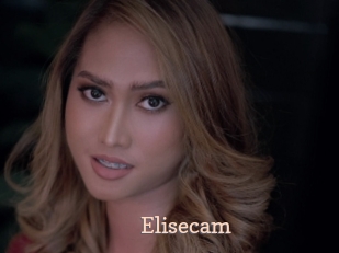 Elisecam