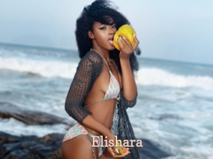 Elishara