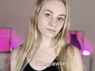 Elliepawsey